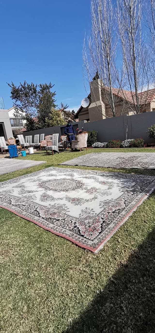Persian rug field